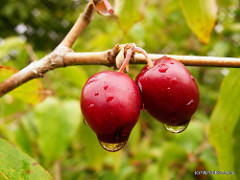 4982162914_05be924839_m